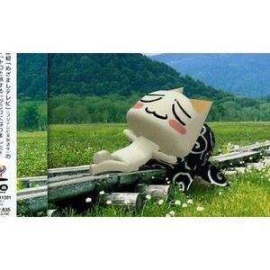 Meet your Posher, Riley